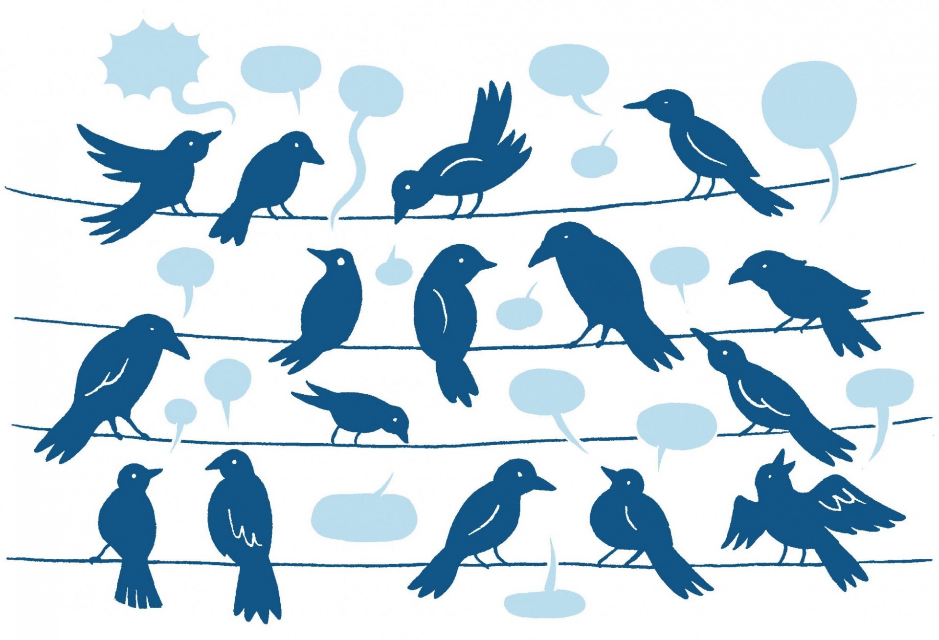 image of birds on a telephone line
