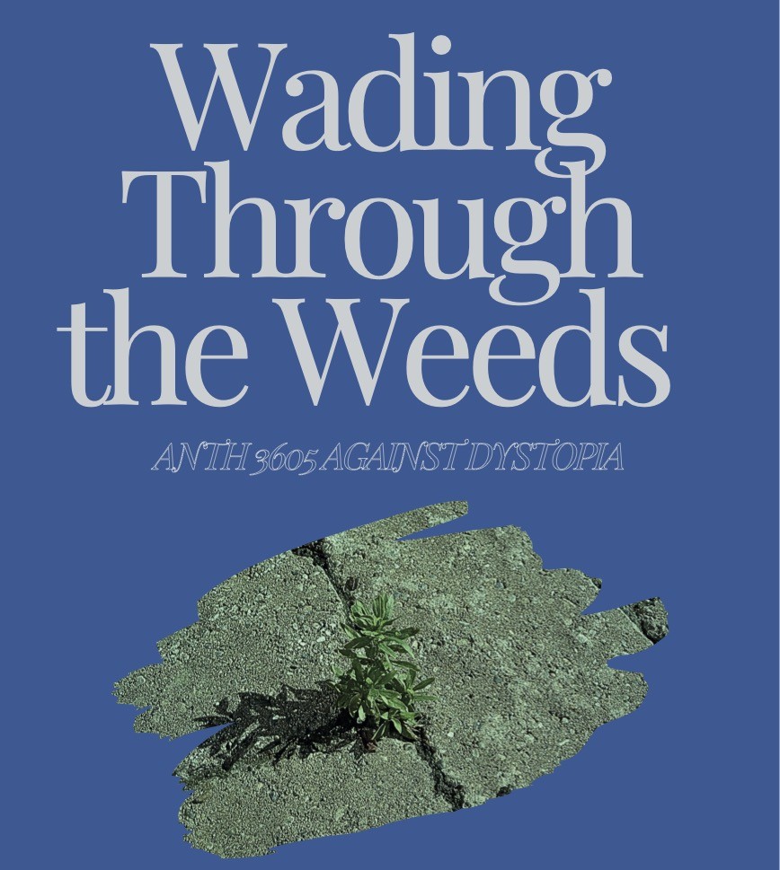 Wading Through the Weeds cover