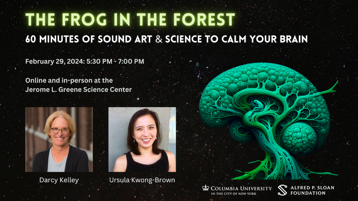 The Frog in the Forest: 60 Minutes of Sound Art & Science to Calm Your Brain. February 29, 2024
5:30 PM - 7:00 PM