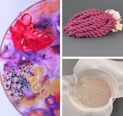 bacteria dyes