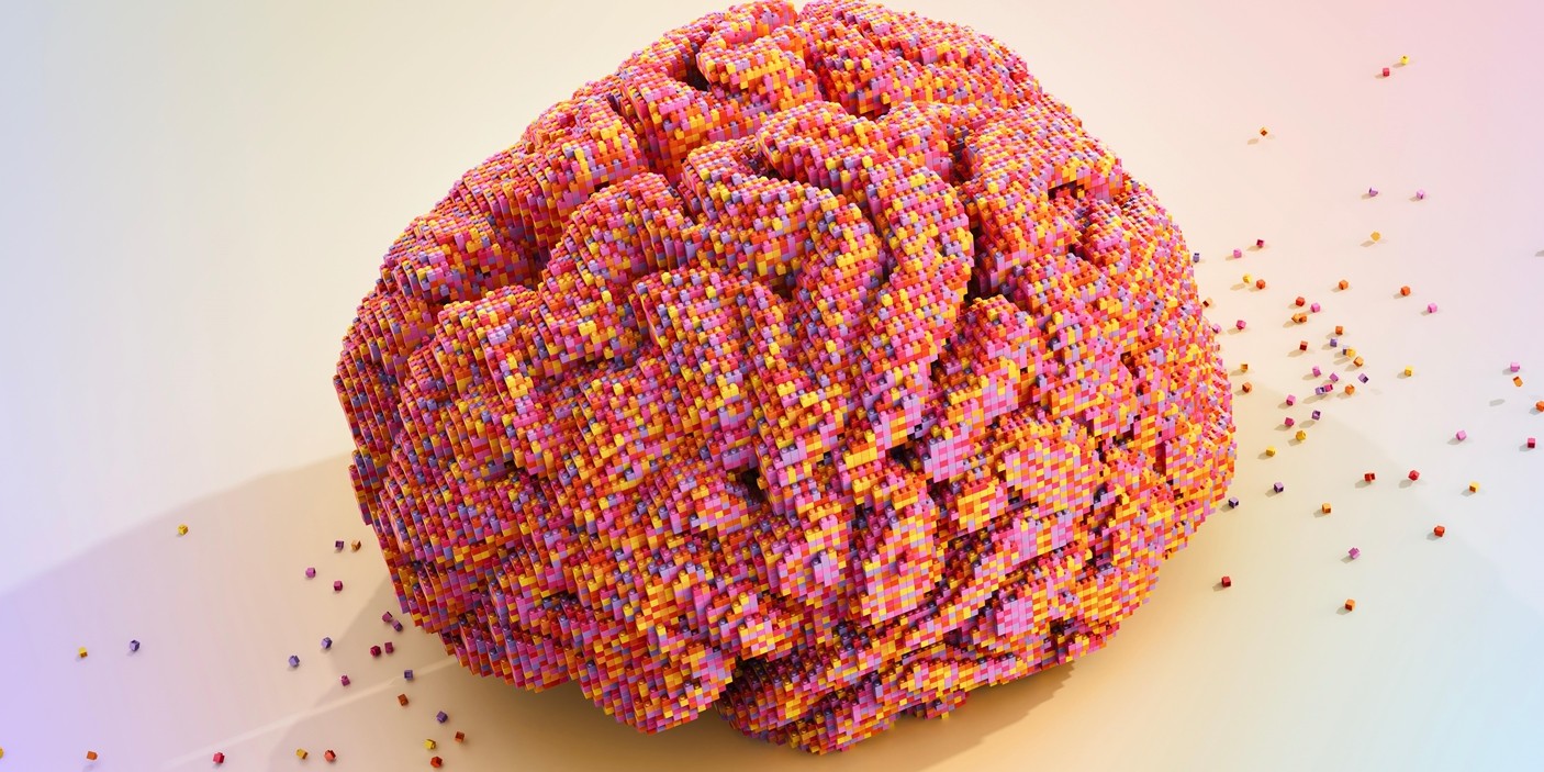 image of a brain made out of plastic bricks