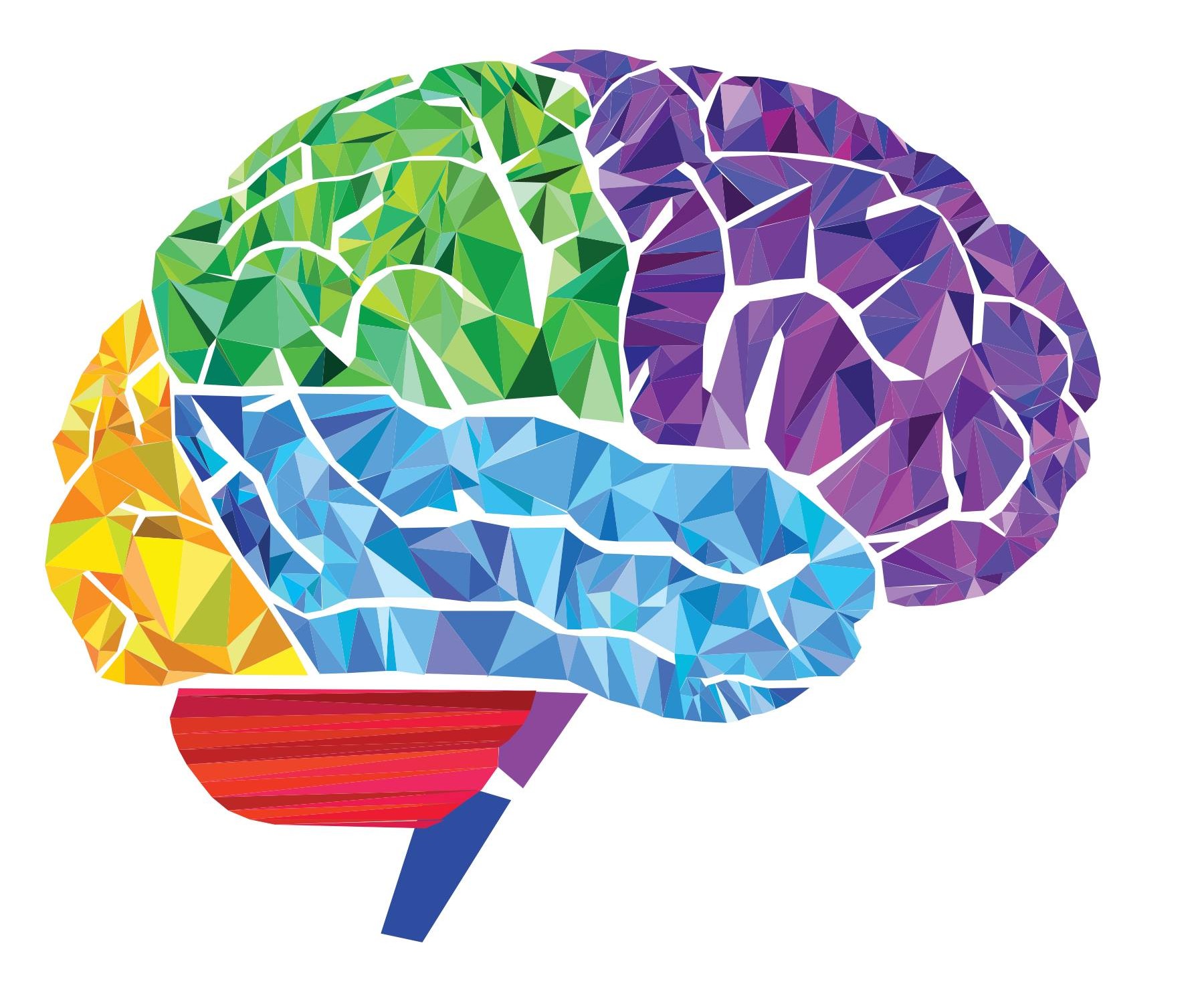 Columbia Neuroscience Society Logo