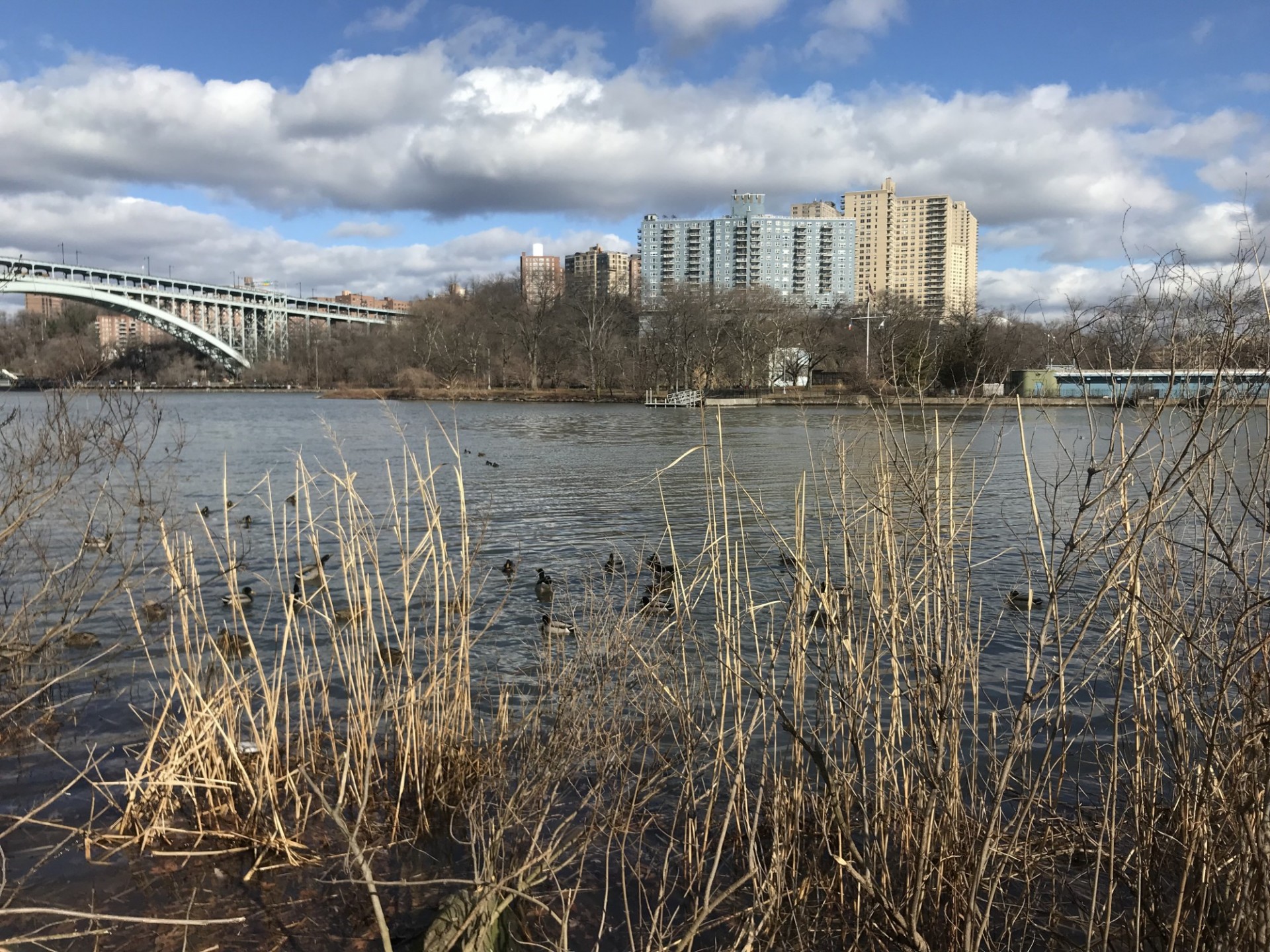 Image of bridge over water, with marsh in foreground and buildings in background.