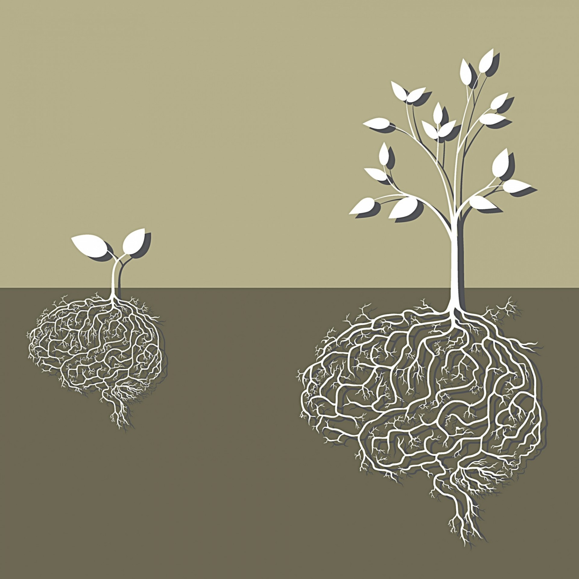 graphic of seed growing into tree.