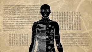 Illustration of human body anatomy with languages overlaying the illustration