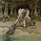 Elephant at pond