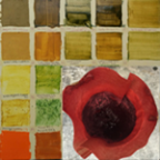 varnishes