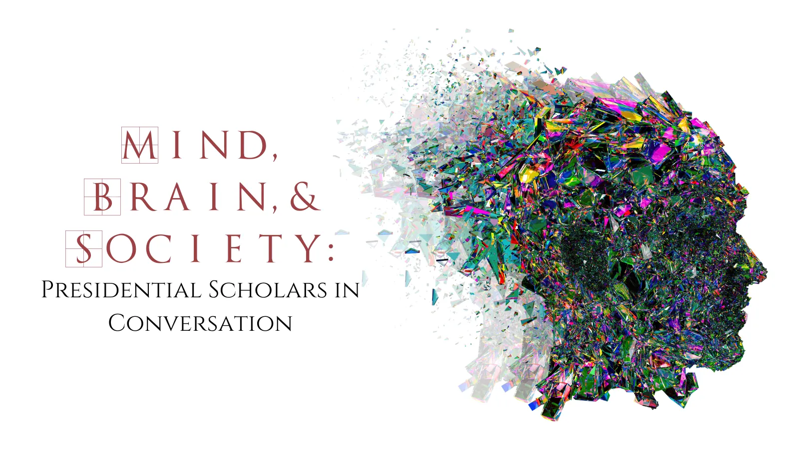 mind, brain, and society