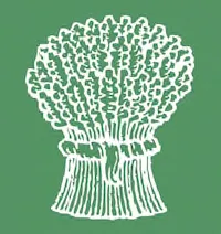 Bush