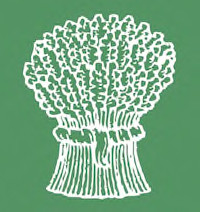 Bush
