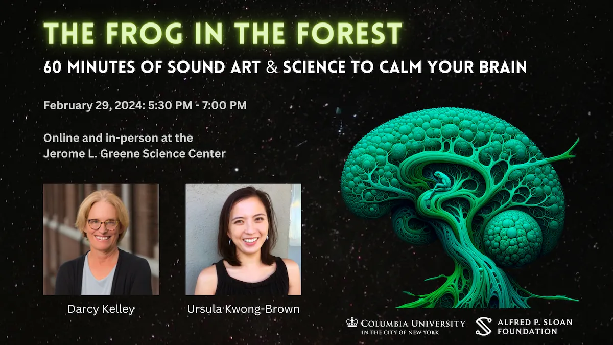 The Frog in the Forest: 60 Minutes of Sound Art & Science to Calm Your Brain. February 29, 2024
5:30 PM - 7:00 PM