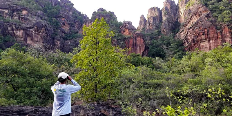 Student looking at a canyon
