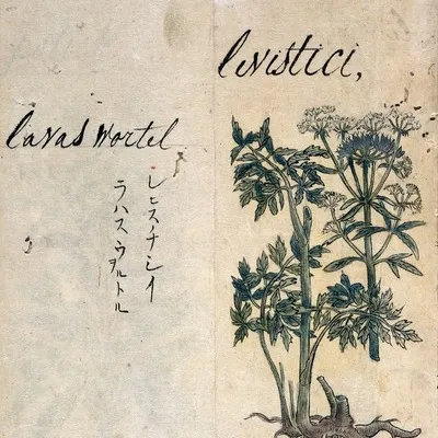 manuscript text