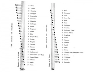 Historical illustration of a scale entitled "The Gamut of Odours"
