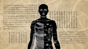 Illustration of human body anatomy with languages overlaying the illustration